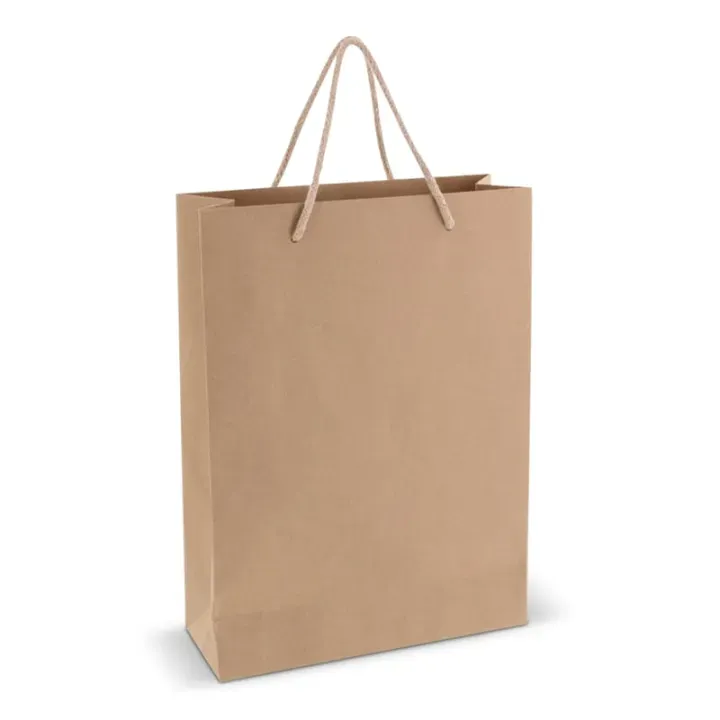 Paper gift bag 120g/m² 24x12x33cm - LT91626 (N0051)